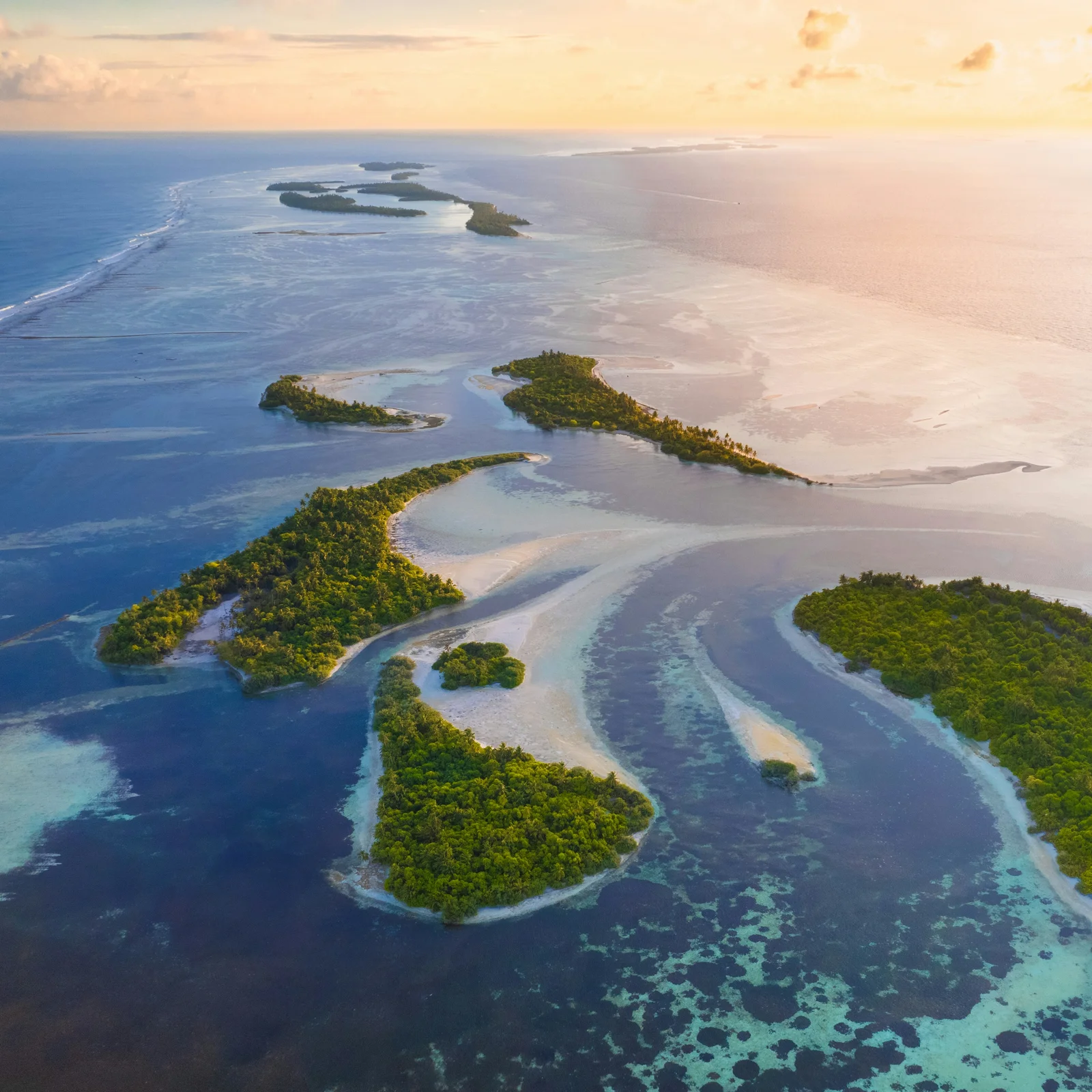 Island Veins