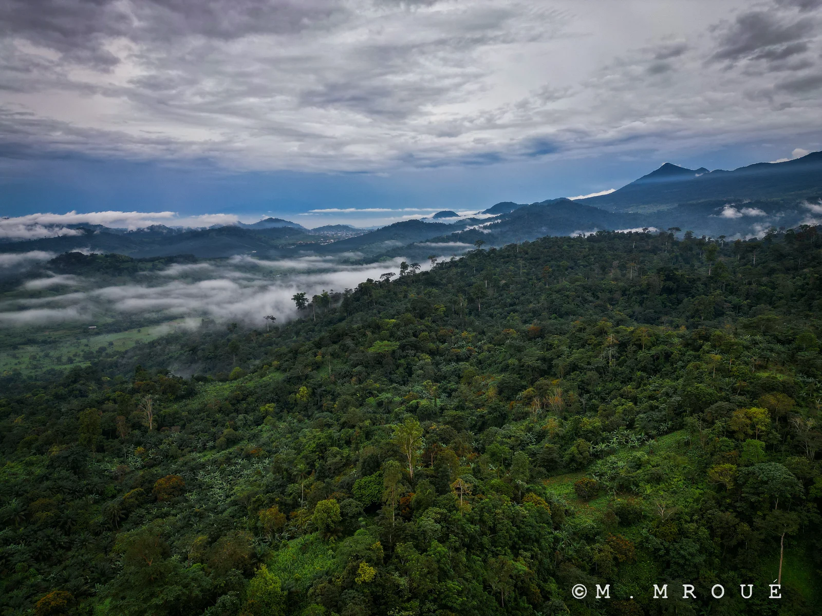 Mountain View Limbe