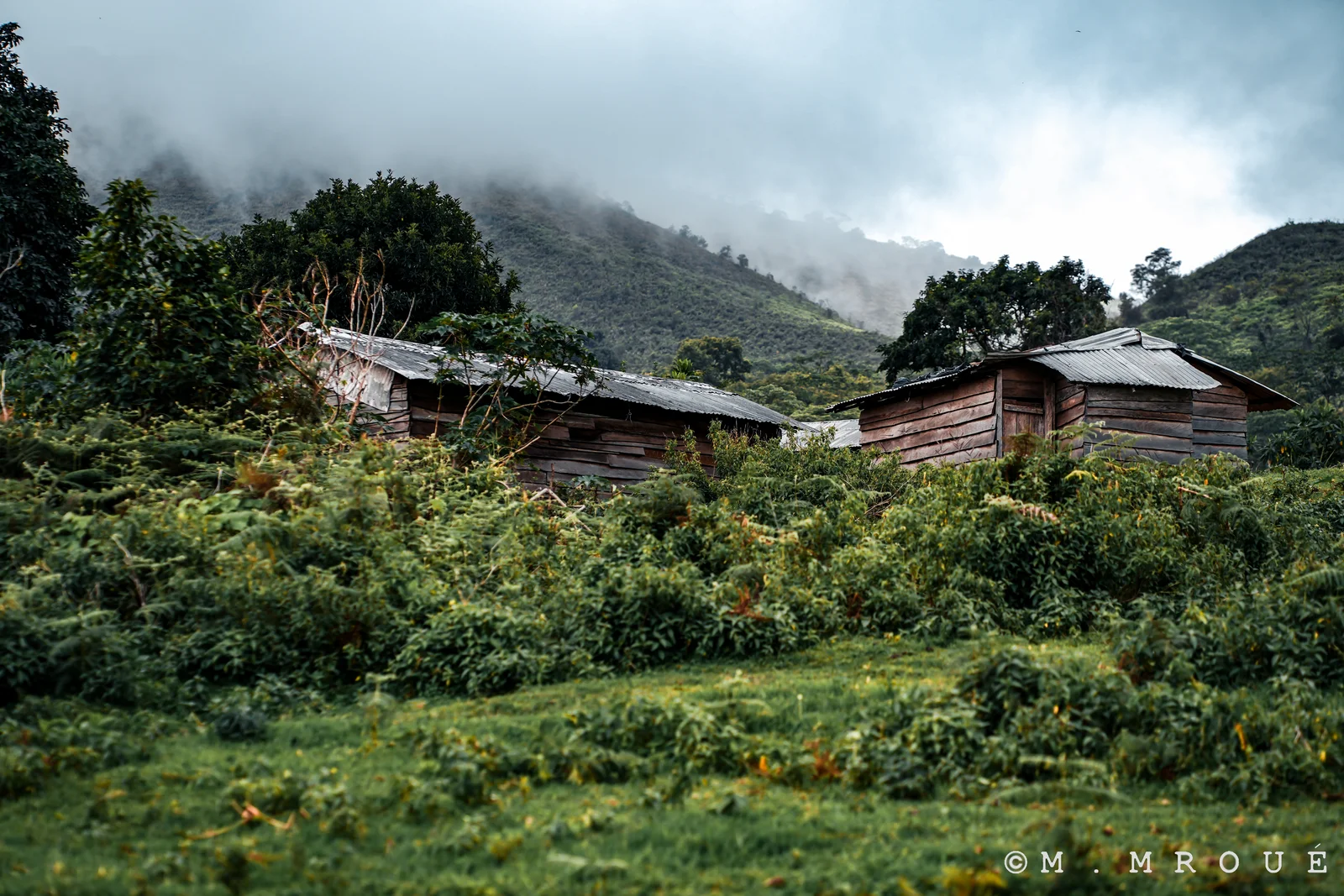 Houses Mount Manengouba
